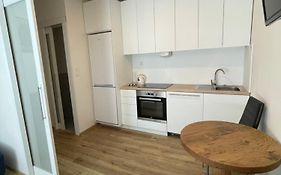 Vintage Apartment Ostrava Centrum - Free Parking